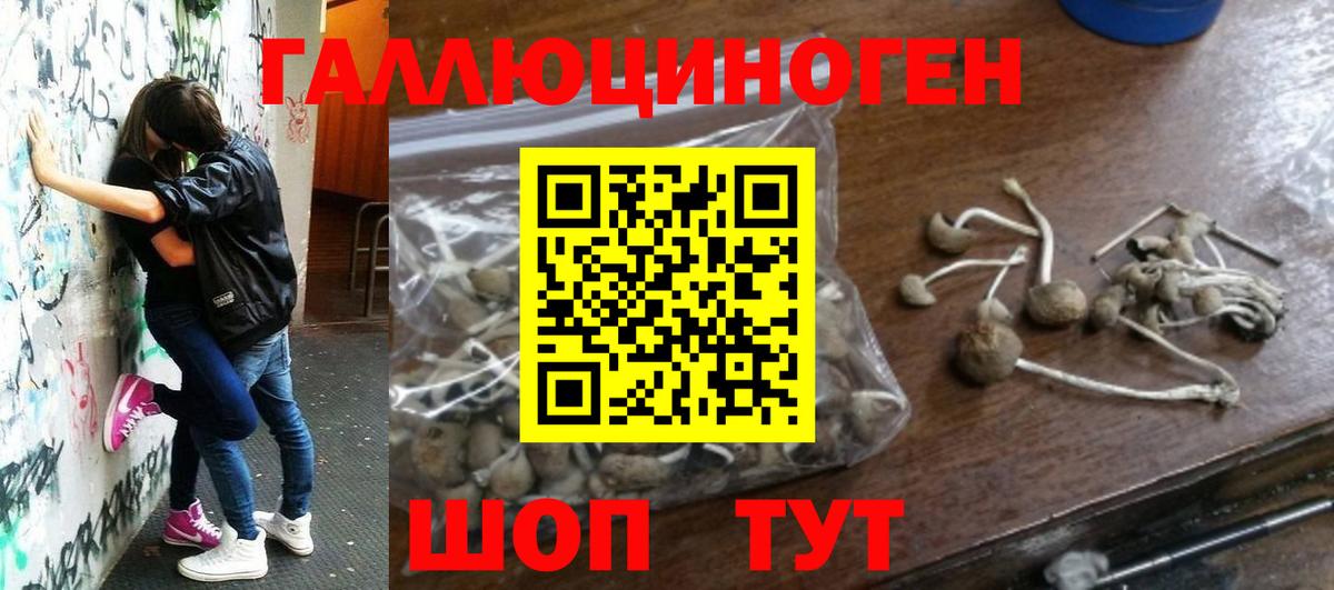 Псилоцибиновые грибы мицелий Вязники