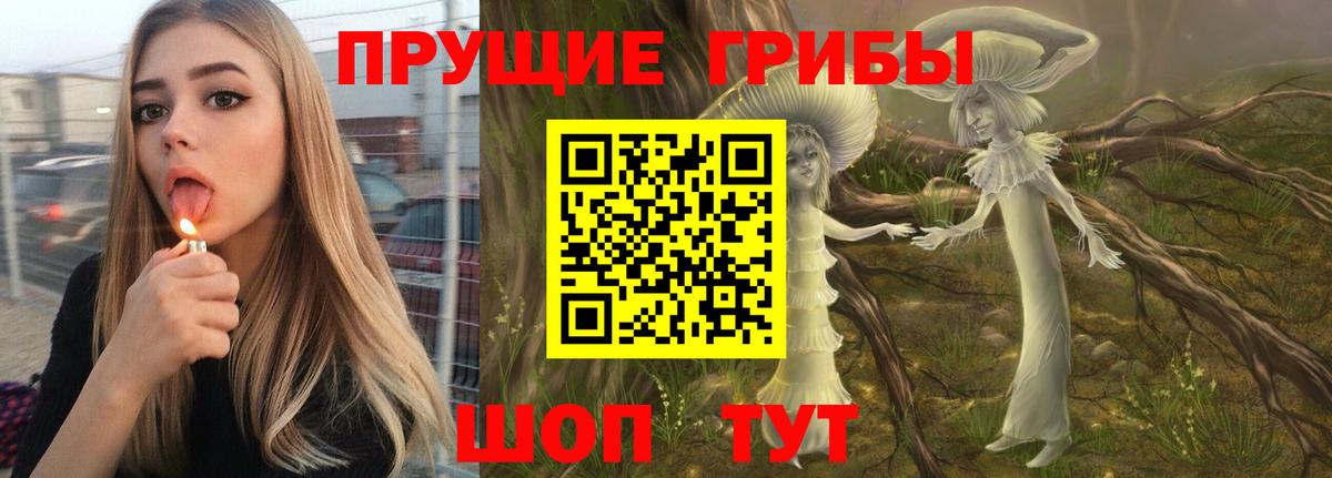 Псилоцибиновые грибы Cubensis  Вход с VPN  Вязники 
